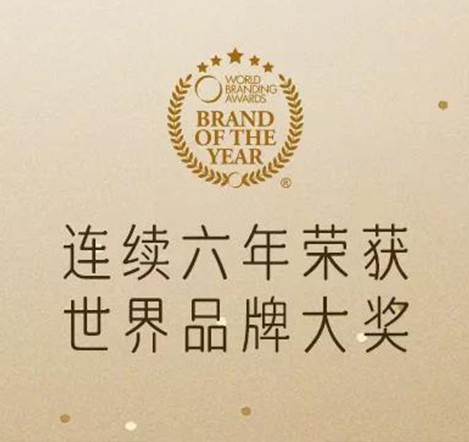 GETHA吉达连续六年荣获世界品牌大奖！